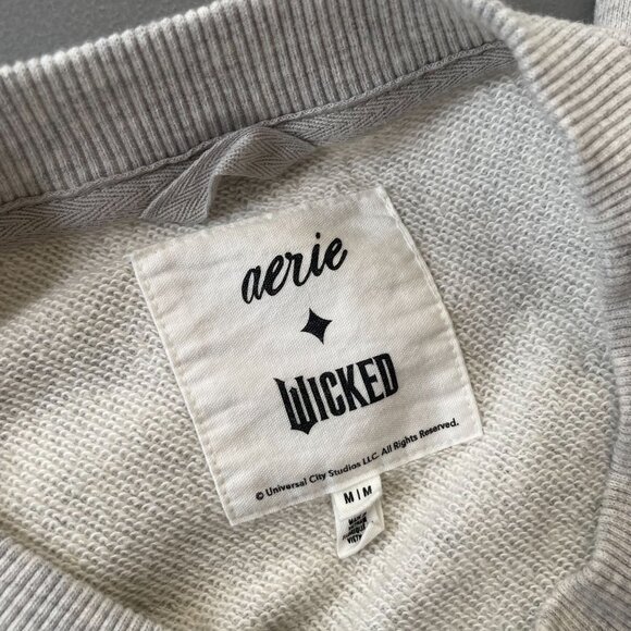 NEW Aerie Wicked Graphic Sweatshirt Gray Green Logo Medium Cotton Oversized - Picture 5 of 7